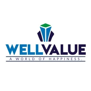 well value real estate logo